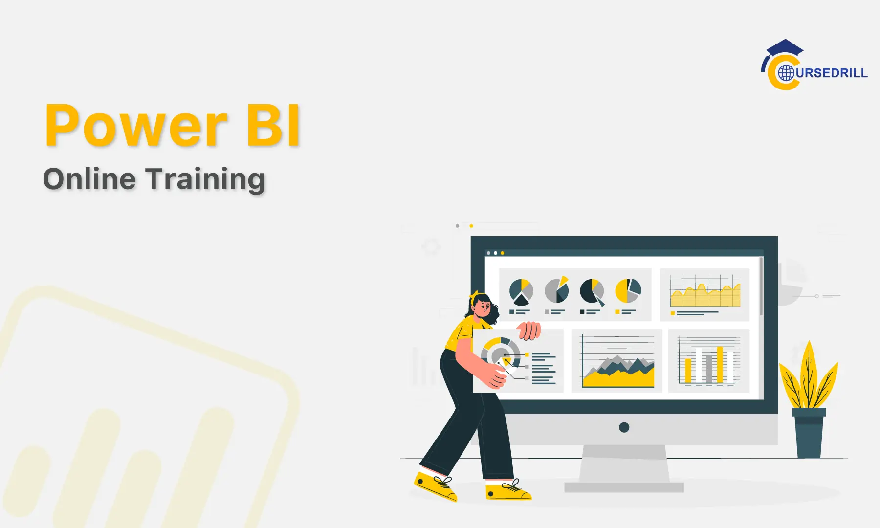 Power BI Training