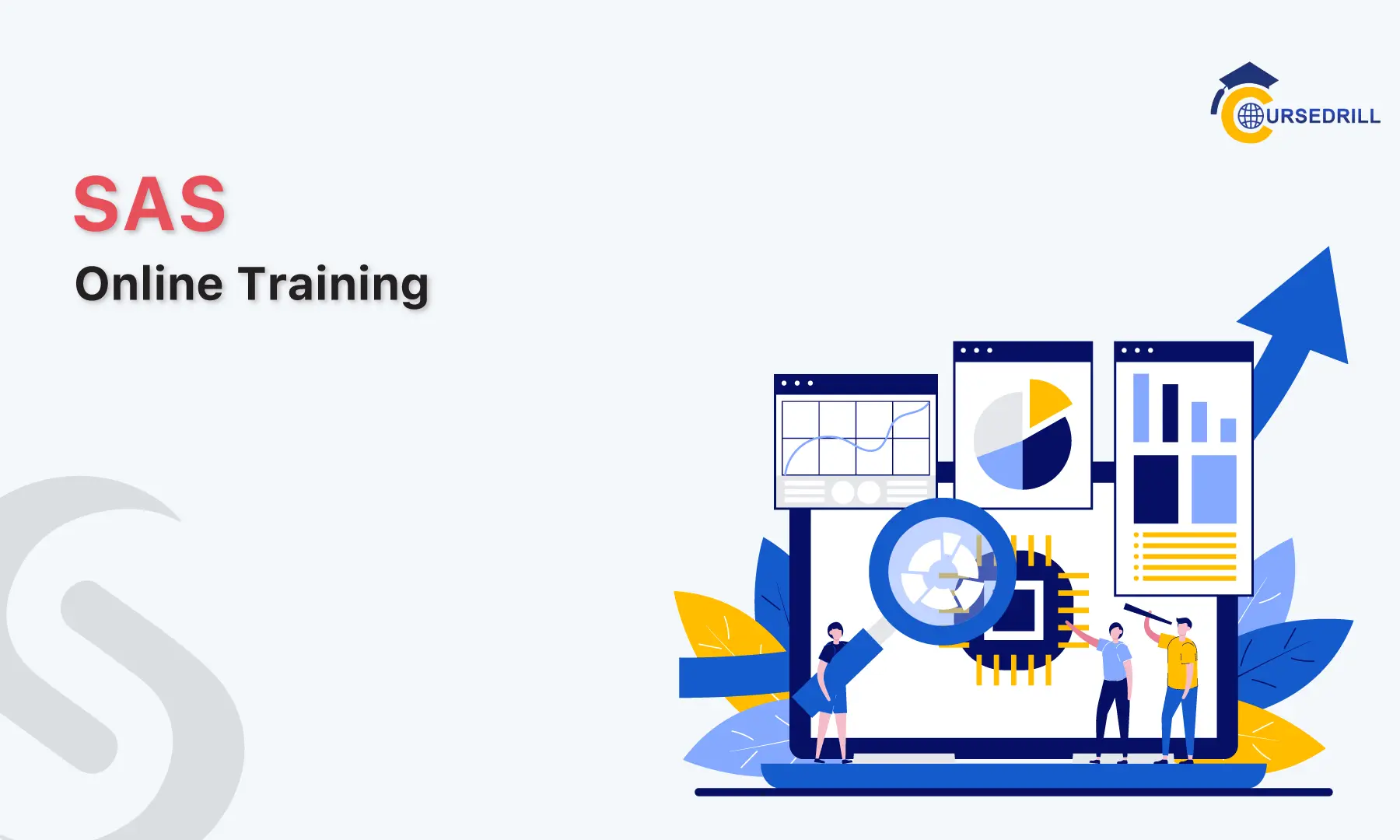SAS Training