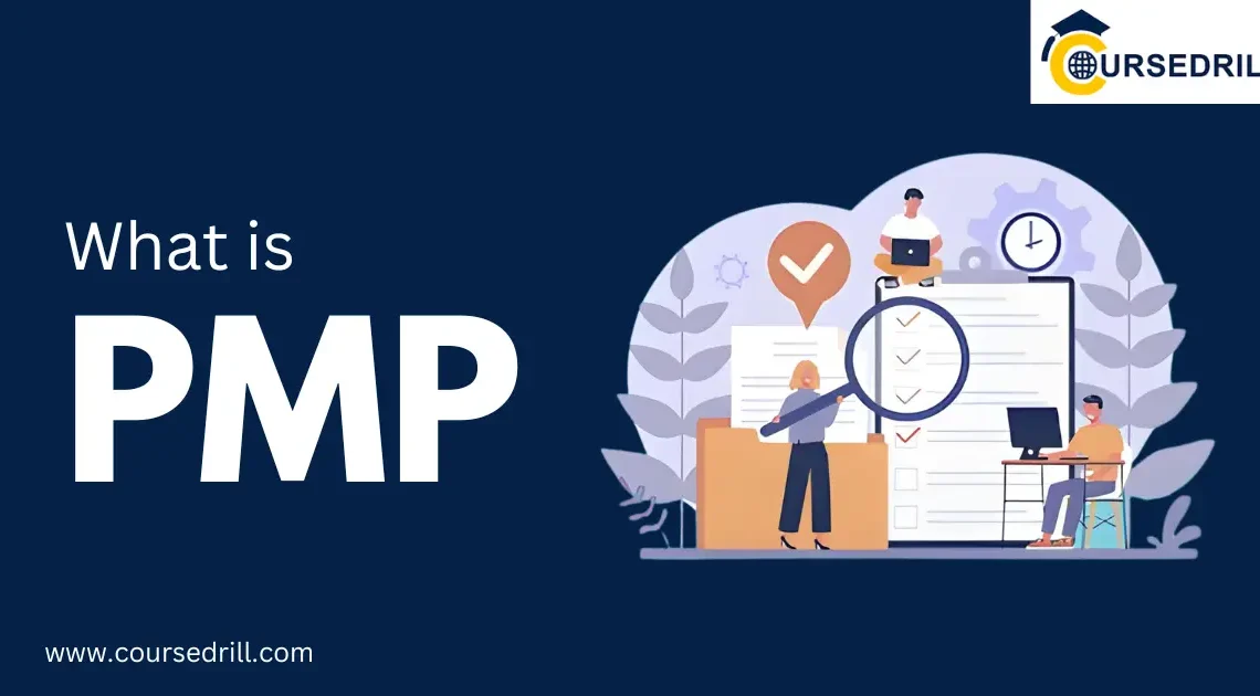 What is PMP 1 What is PMP