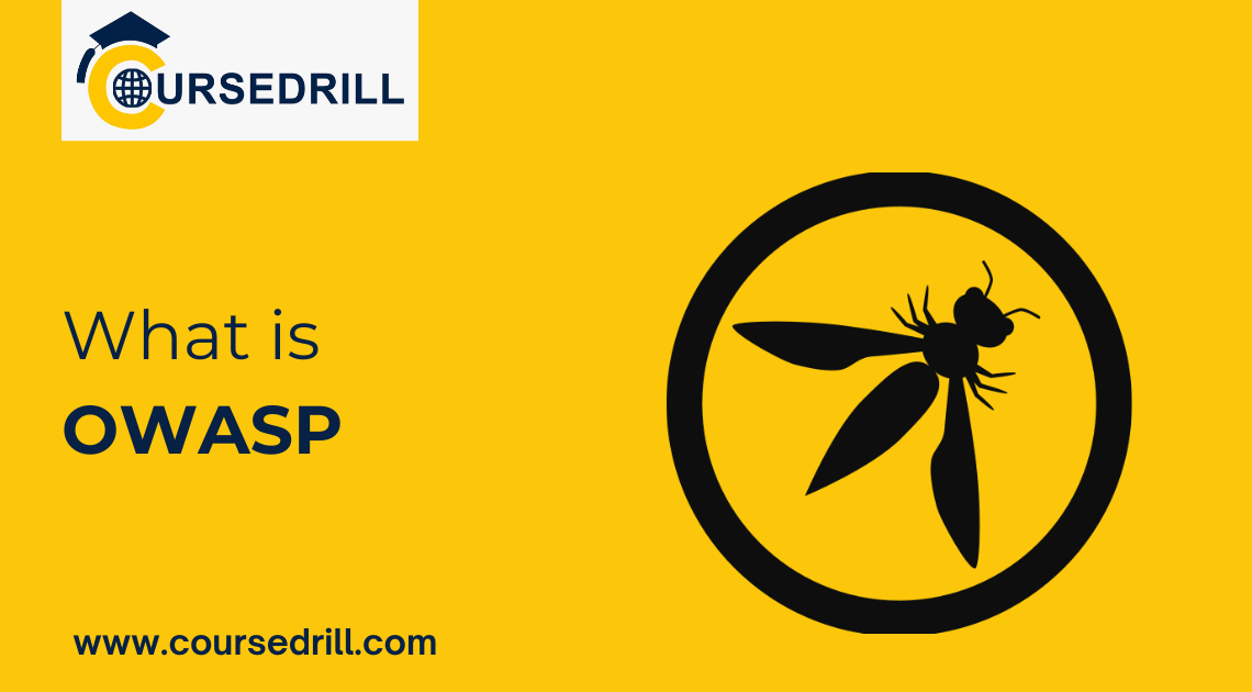 What is OWASP