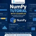 Numpy Tutorial with Examples